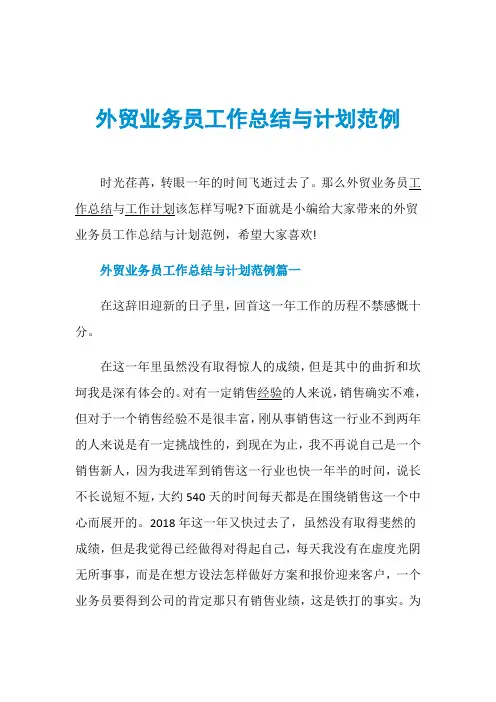 外贸业务员工作总结与计划范例