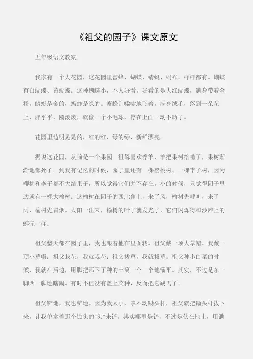 (五年级语文教案)《祖父的园子》课文原文