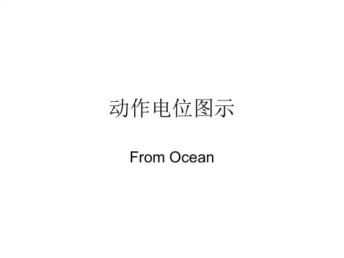 动作电位图示