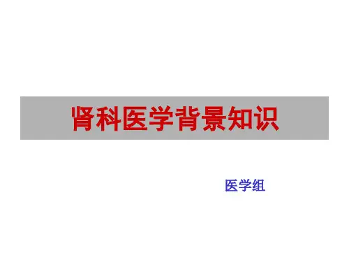 肾脏的解剖和生理学知识 PPT课件