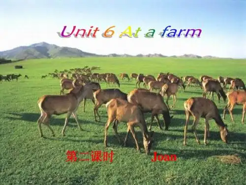 (人教PEP)四年级英语下册课件Unit6(2)