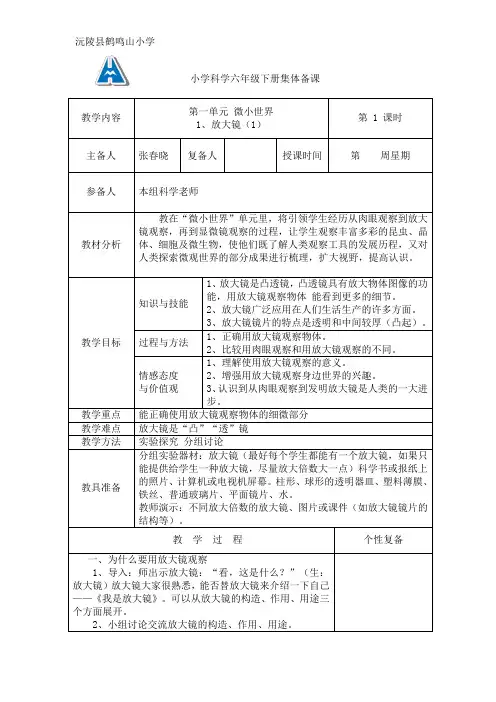 小学科学六年级下册集体备课