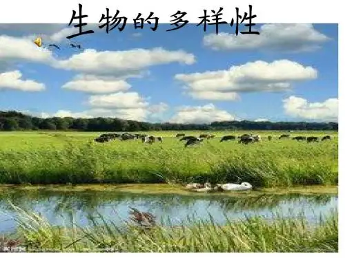 教科版科学六年级上册4.1《校园生物大搜索》PPT