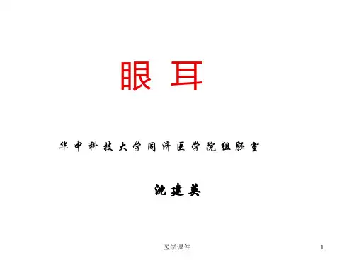 组织学与胚胎学 眼球眼睑内耳 PPT课件
