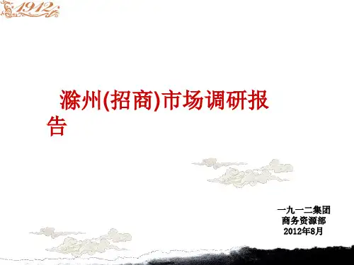 商业市场调研报告分析ppt