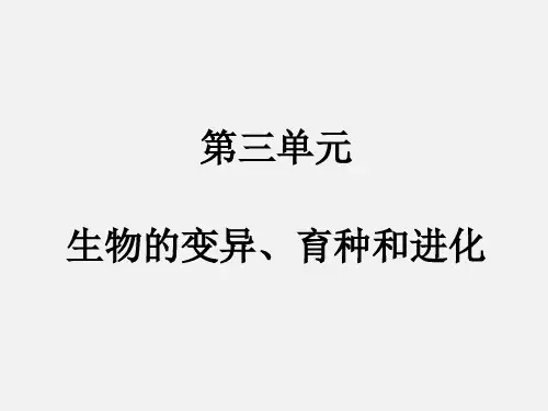 高考生物 一轮复习 生物的变异、育种和进化 第1讲 生物的变异(必修2)