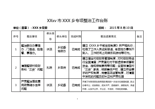 XXX市XXX乡专项整治工作台账