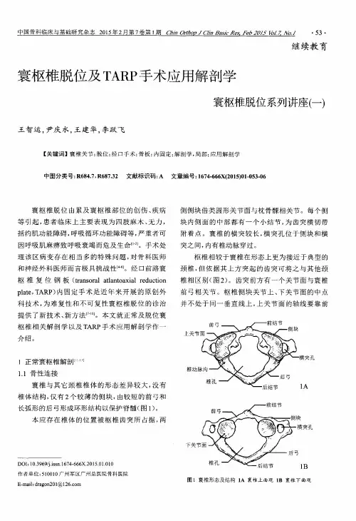 寰枢椎脱位及TARP手术应用解剖学寰枢椎脱位系列讲座(一)