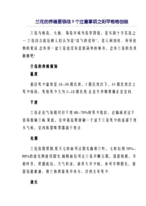 兰花的养殖方法和5个注意事项