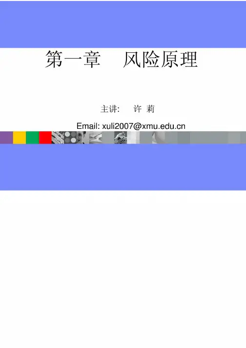 厦门大学风险管理第一章风险原理