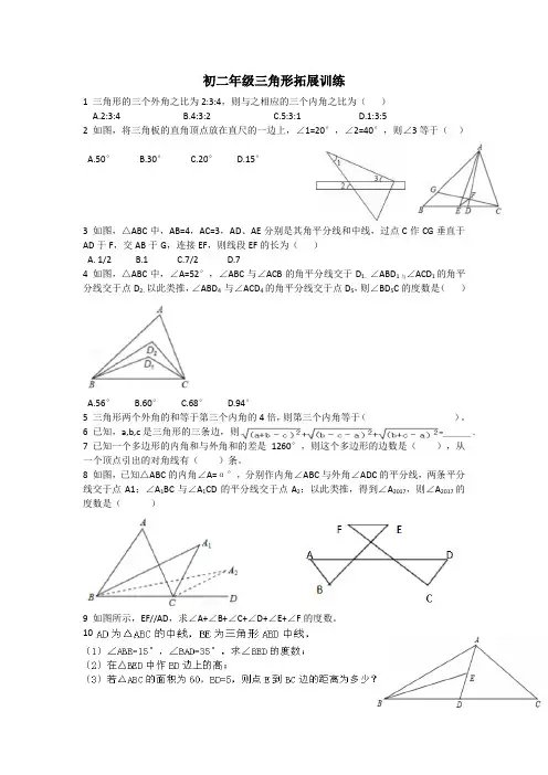 三角形拓展训练专题