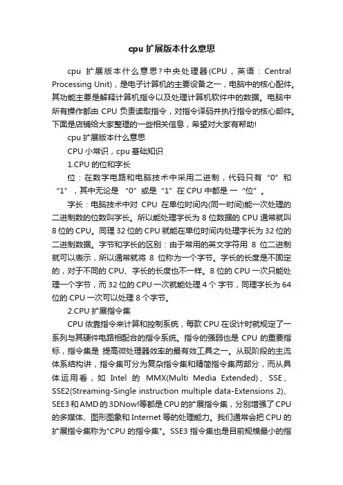 cpu扩展版本什么意思