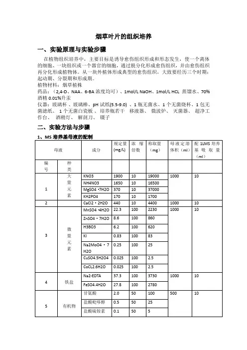 烟草组培苗实验步骤