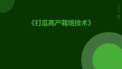 打瓜高产栽培技术