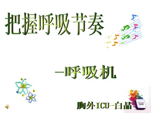呼吸机历史与基本原理 ppt课件
