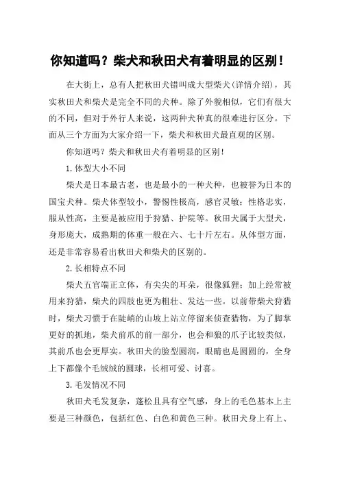 你知道吗？柴犬和秋田犬有着明显的区别!