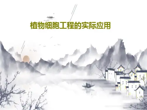 植物细胞工程的实际应用36页PPT
