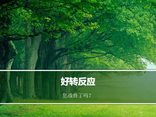 04好转反应