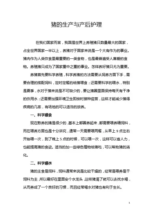母猪的生产与产后护理