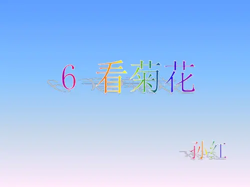 教学课件：看菊花