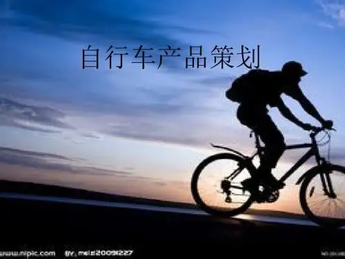 自行车产品策划