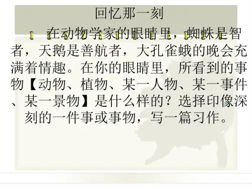《回忆那一刻》作文
