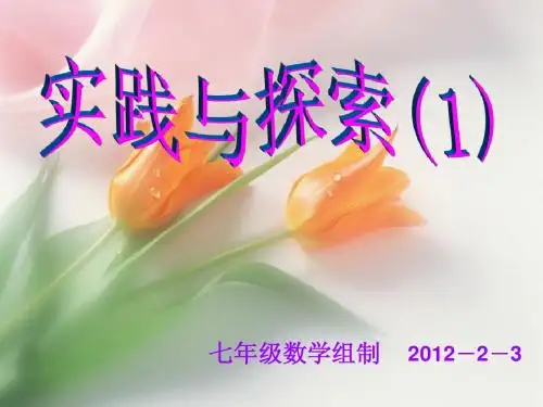 6.3.1华师大实践与探索(1)