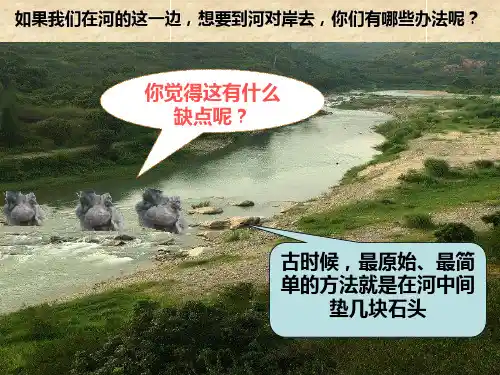 桥的形状和结构
