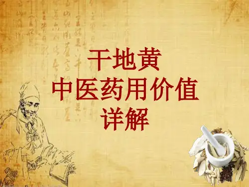 中药学_干地黄_药材详解课件模板_性味