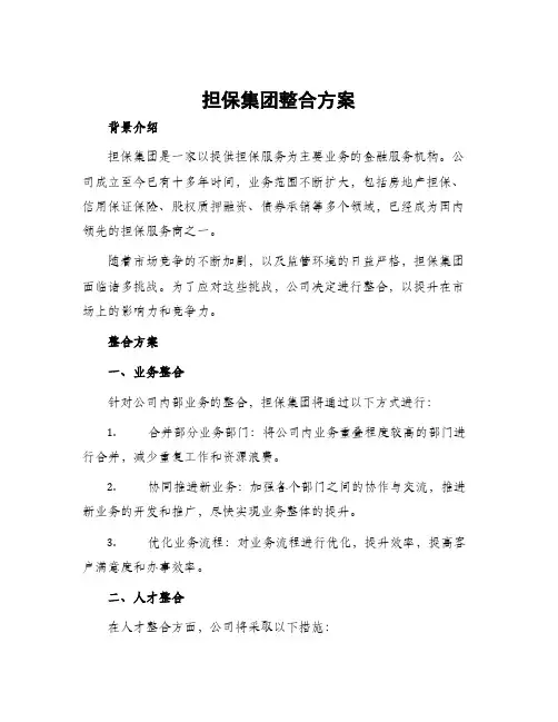 担保集团整合方案