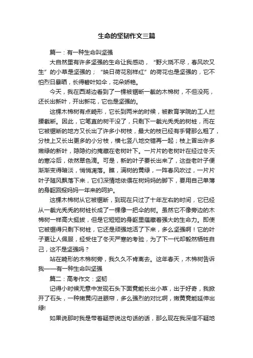生命的坚韧作文三篇