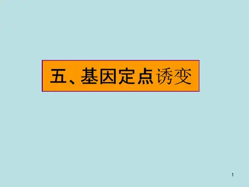 基因定点诱变技术与DNA与蛋白质互作及定点突变介绍