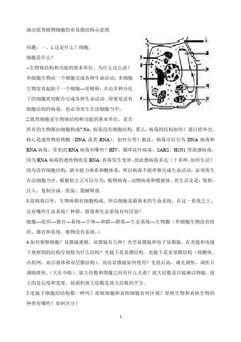 高中生物必修一问题