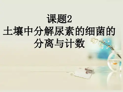 高中生物《第二章 第二节 土壤中分解尿素的细菌的分离与计数》课件5 新人教版选修1