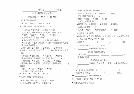 艺用解剖学试题