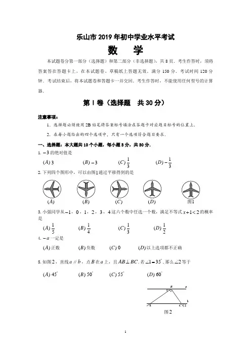 2019年度四川省乐山市初中学业水平考试数学试题(含答案)
