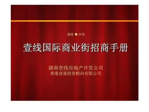 湖南壹线国际商业街项目招商手册营销推广方案-精选文档
