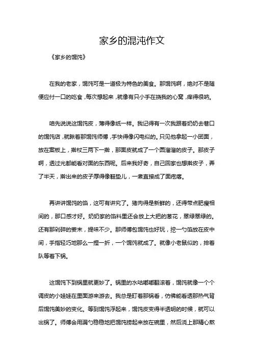 家乡的混沌作文