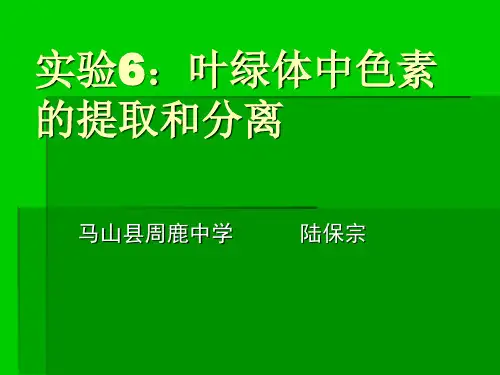 实验八:叶绿体中色素的提取和分离(整理)汇总