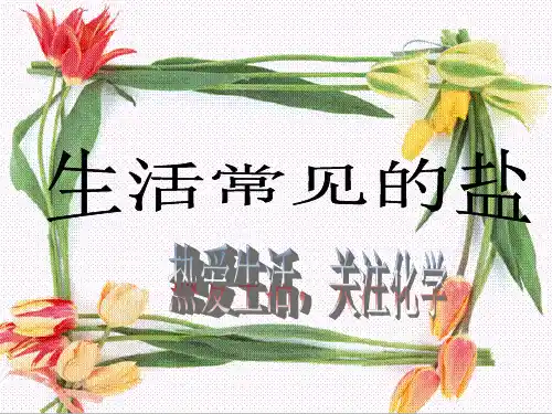 盐的物理性质和用途