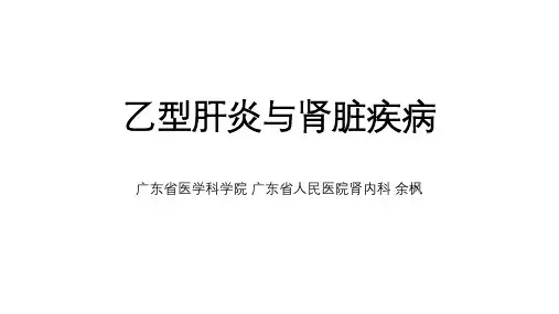 乙肝与肾脏疾病
