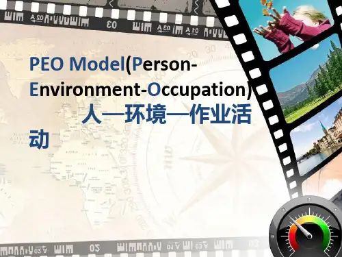 作业治疗 PEO完整版 3