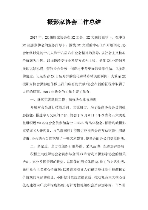摄影家协会工作总结