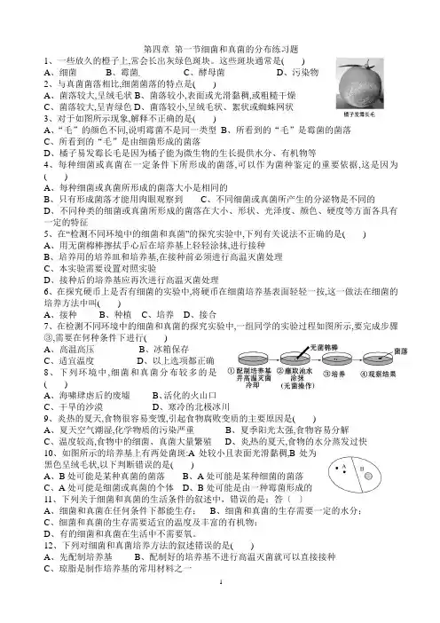 第四章 第一节细菌和真菌的分布练习题