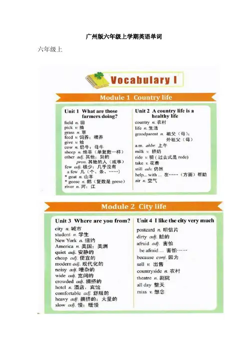 广州版六年级上、下学期英语单词汇总