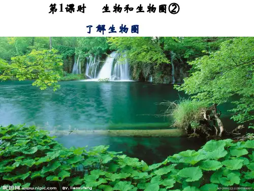 人教版七年级上册了解生物圈复习