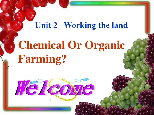 人教版高一英语必修四 unit2 chemical or organic farming_？
