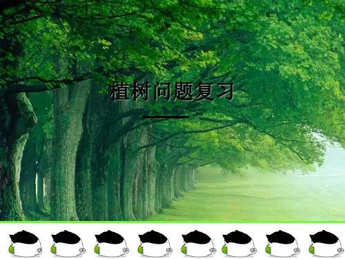人教版五年级上册数学植树问题总复习