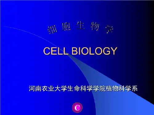 细胞生物学-核糖体 PPT课件