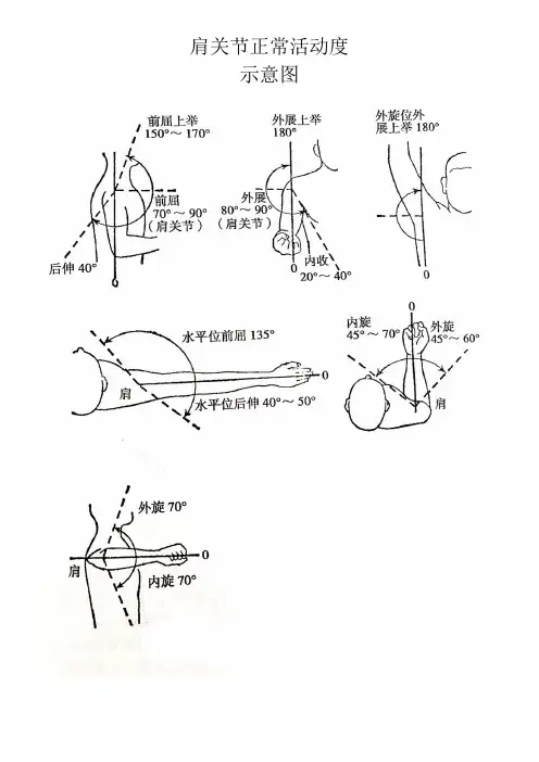 肩关节活动度示意图